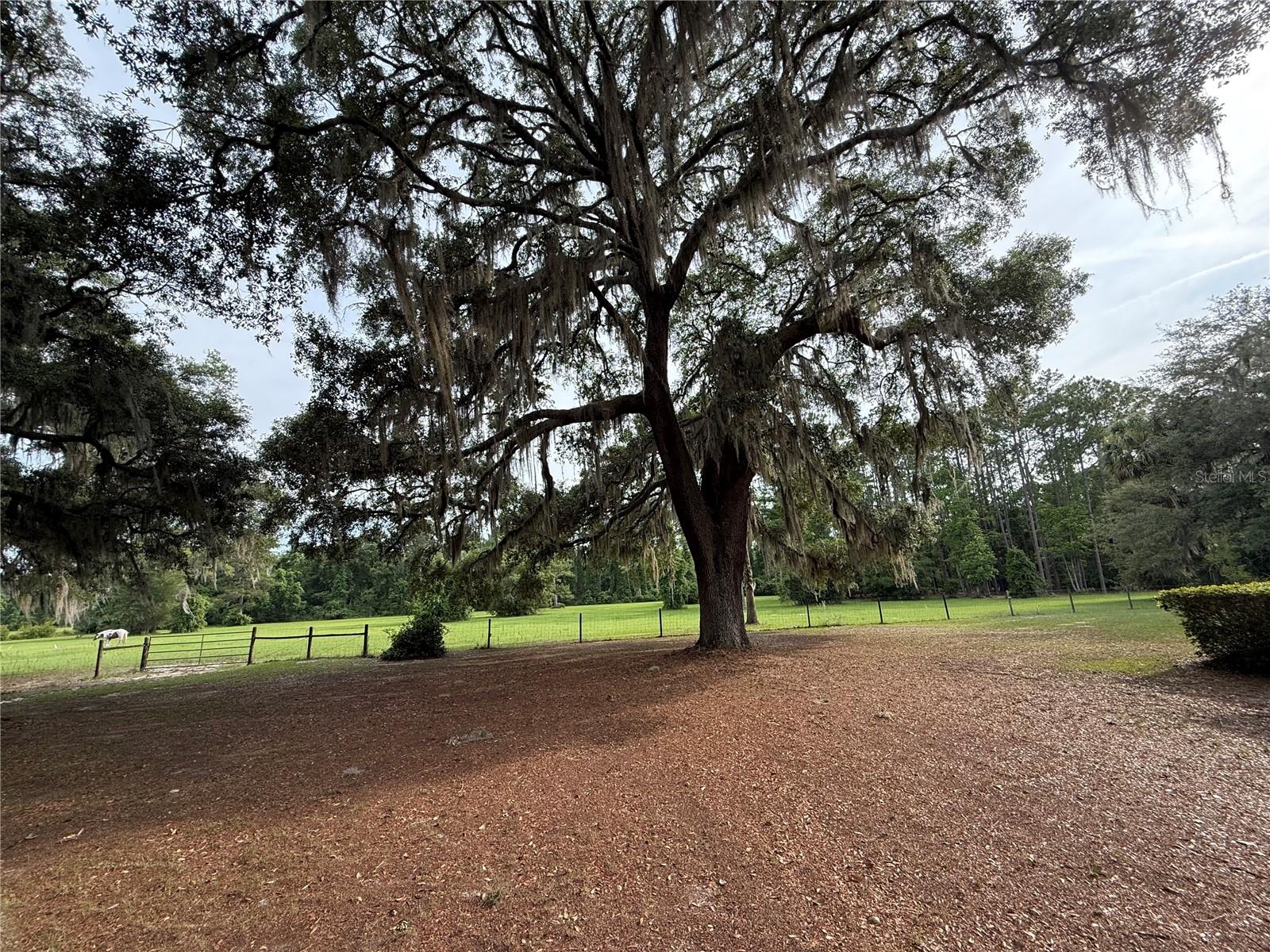 1360 S STATE ROAD 19, PALATKA, FL — photo 7
