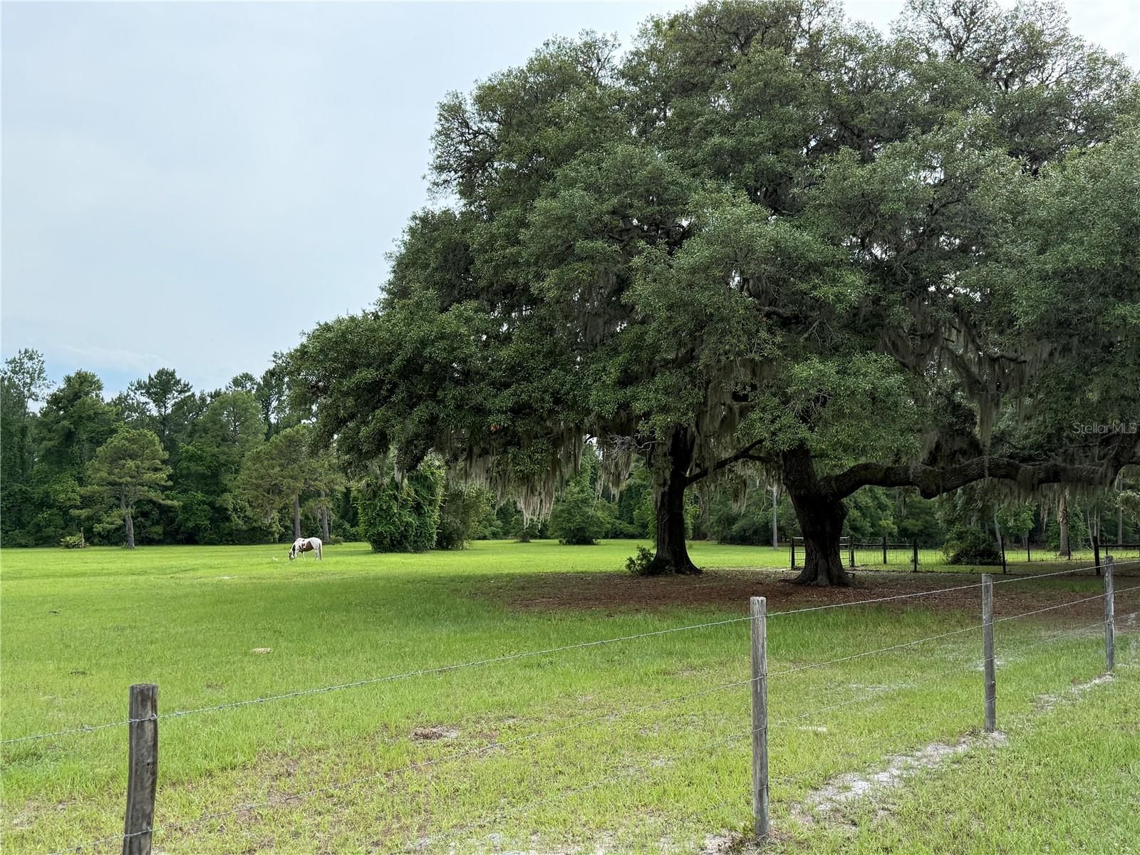 1360 S STATE ROAD 19, PALATKA, FL — photo 8