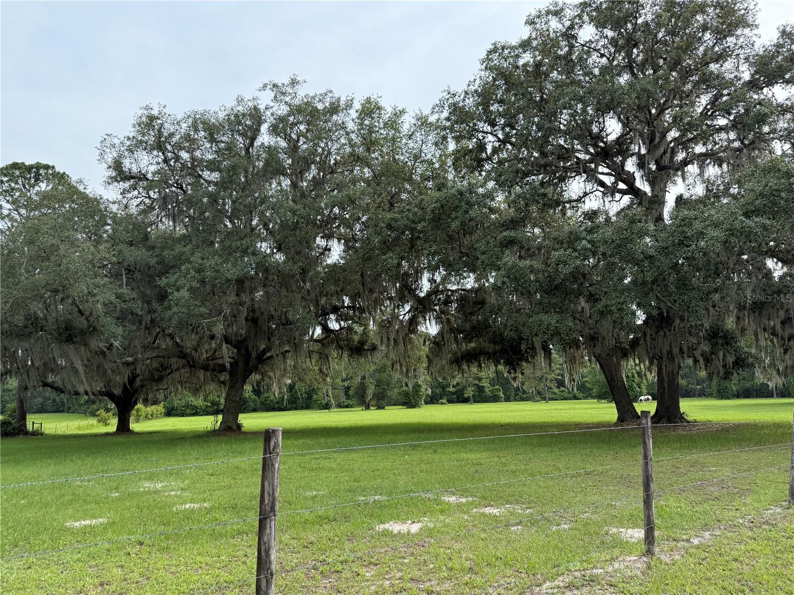 1360 S STATE ROAD 19, PALATKA, FL — photo 11