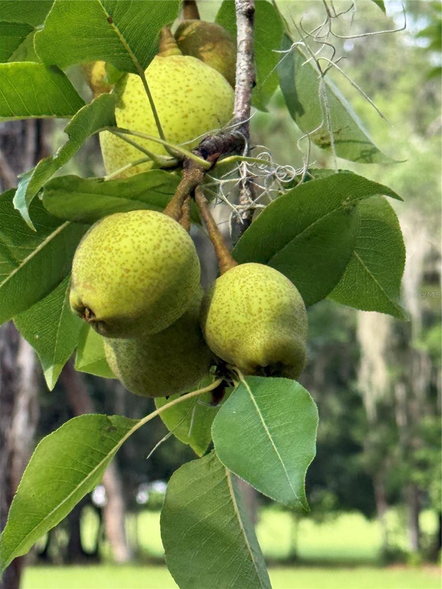 1360 S STATE ROAD 19, PALATKA, FL — photo 14