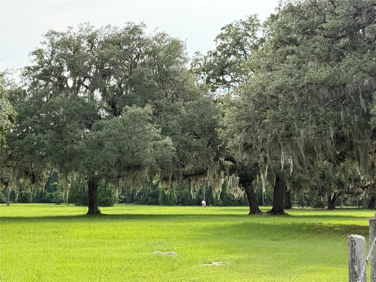 1360 S STATE ROAD 19, PALATKA, FL — photo 17