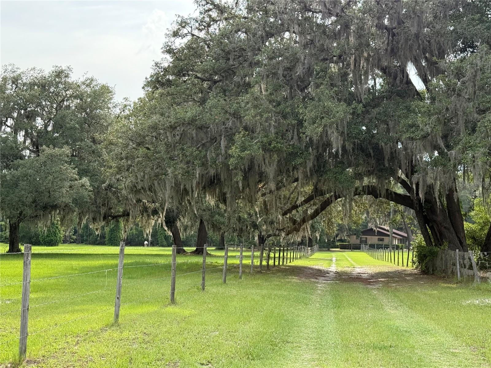 1360 S STATE ROAD 19, PALATKA, FL — photo 18
