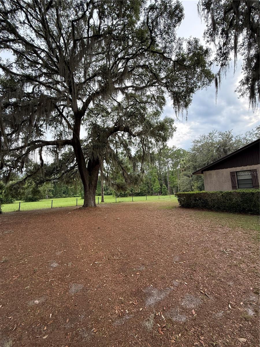 1360 S STATE ROAD 19, PALATKA, FL — photo 20