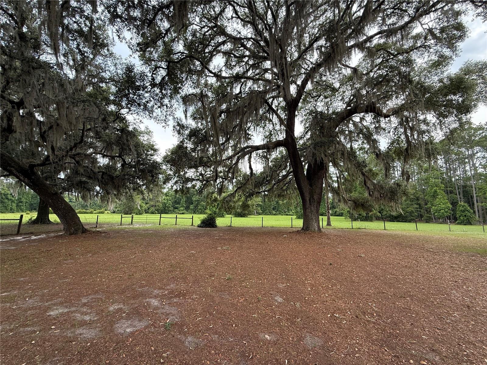 1360 S STATE ROAD 19, PALATKA, FL — photo 21