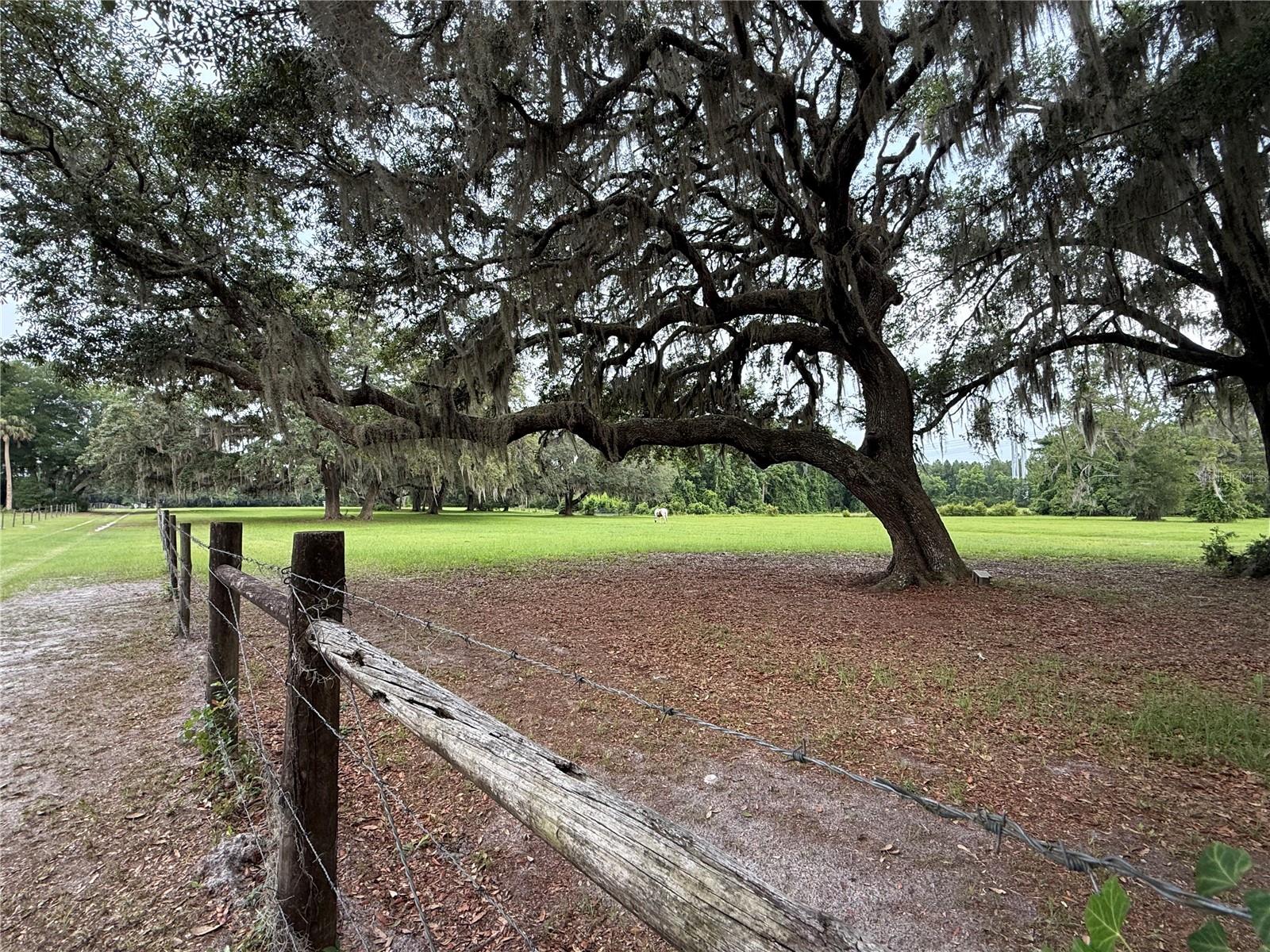 1360 S STATE ROAD 19, PALATKA, FL — photo 23
