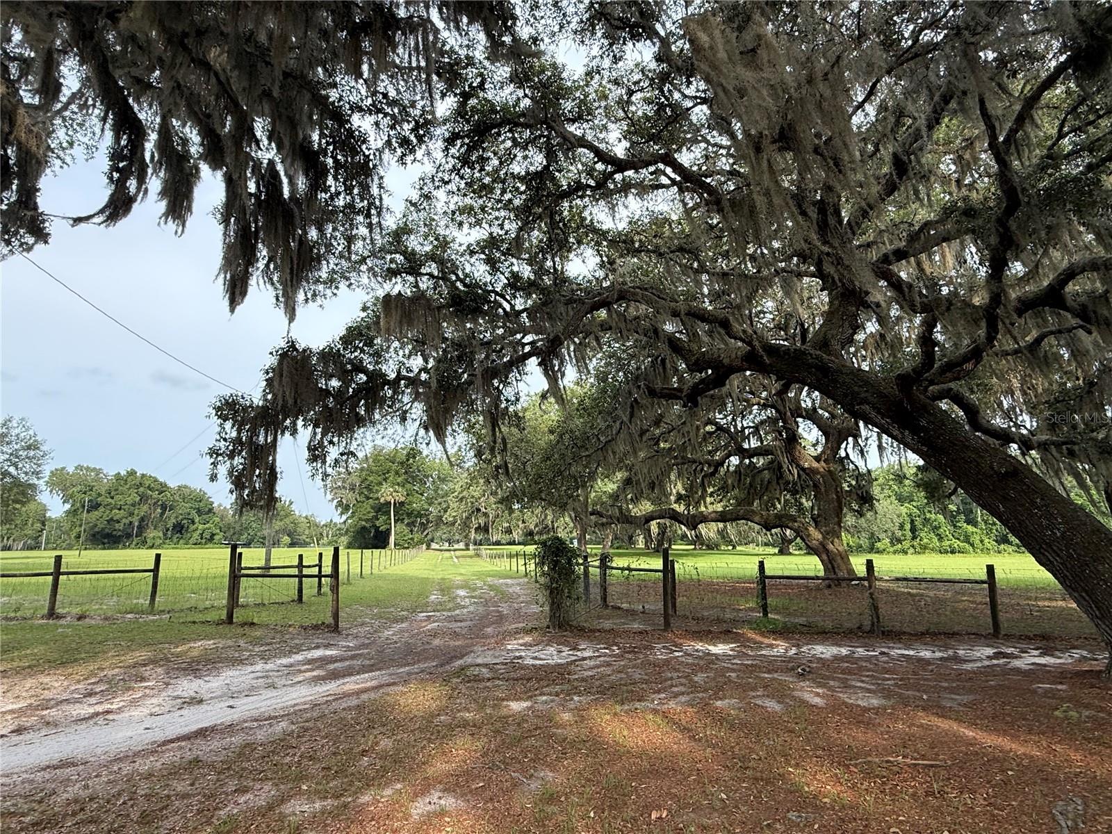 1360 S STATE ROAD 19, PALATKA, FL — photo 24