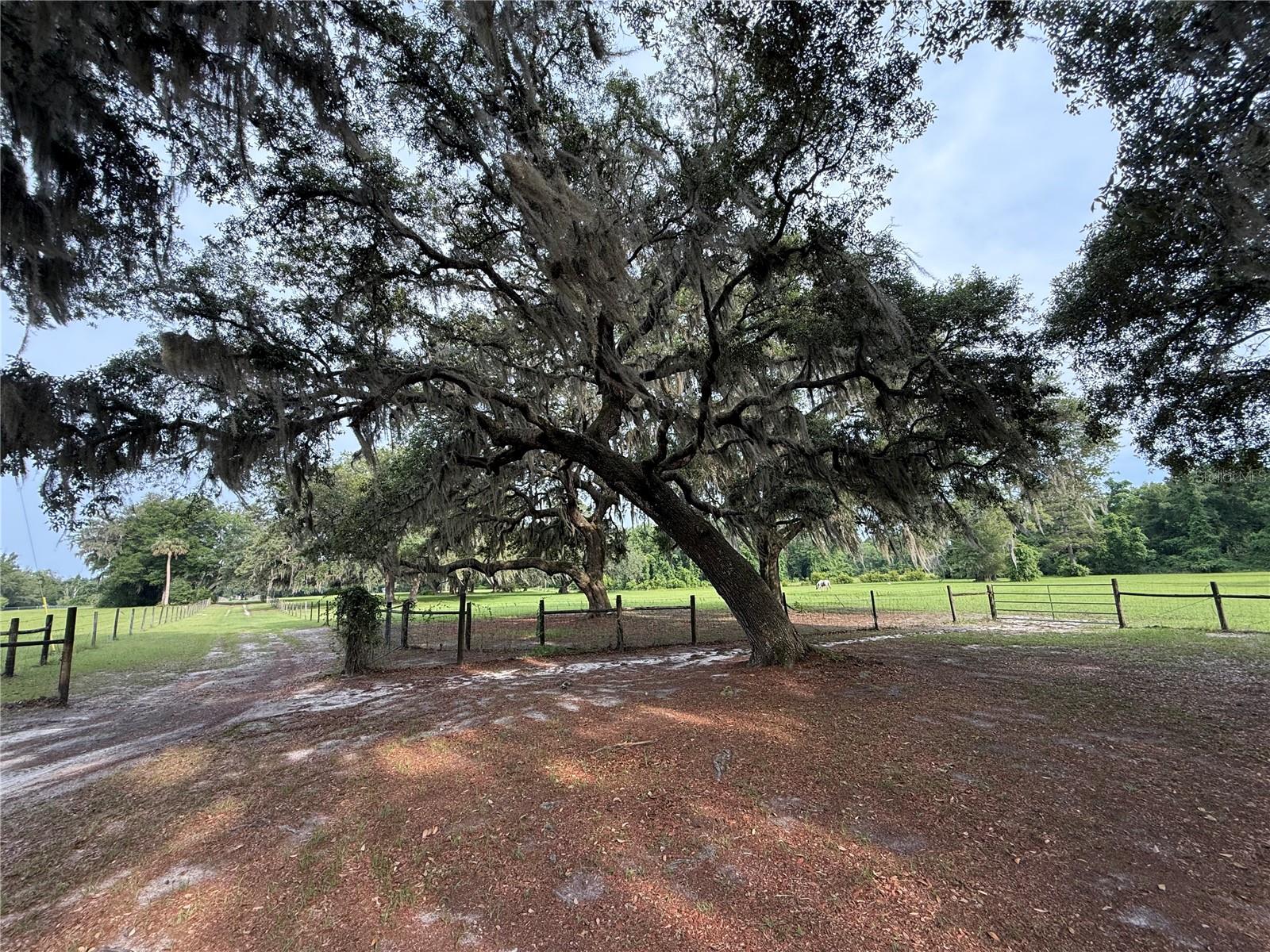 1360 S STATE ROAD 19, PALATKA, FL — photo 25