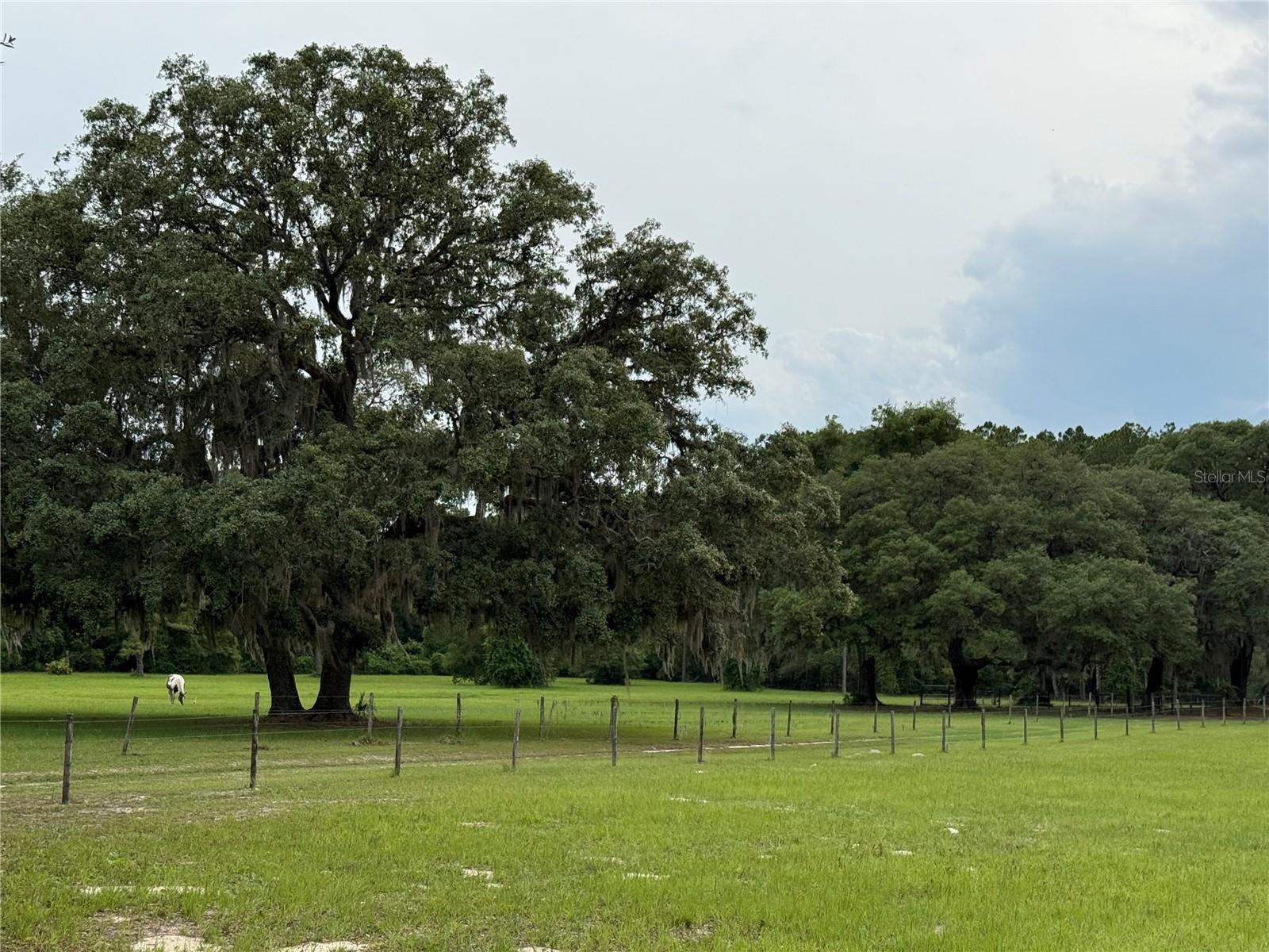 1360 S STATE ROAD 19, PALATKA, FL — photo 26