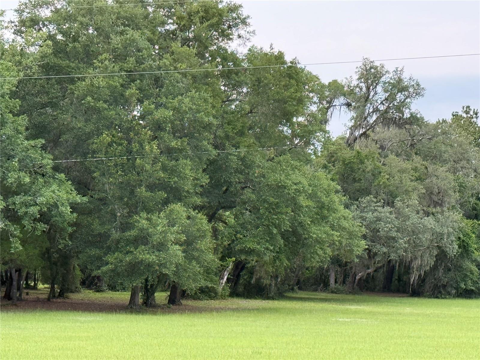 1360 S STATE ROAD 19, PALATKA, FL — photo 27