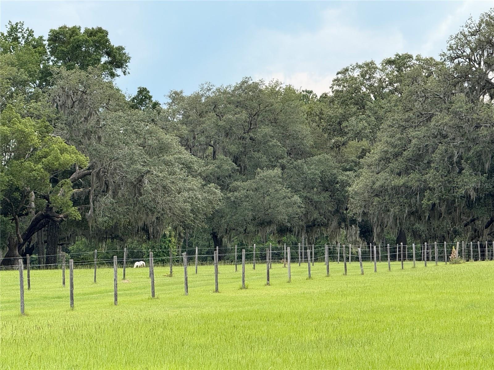 1360 S STATE ROAD 19, PALATKA, FL — photo 28