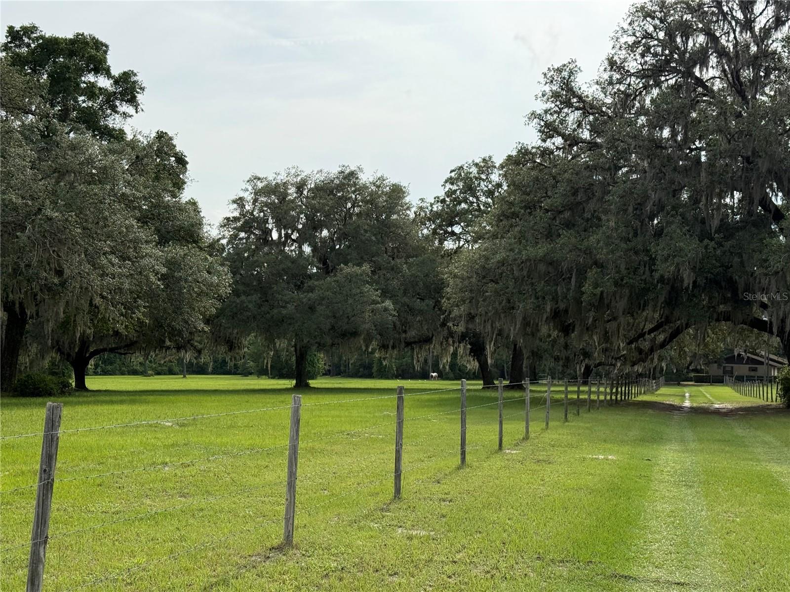 1360 S STATE ROAD 19, PALATKA, FL — photo 30