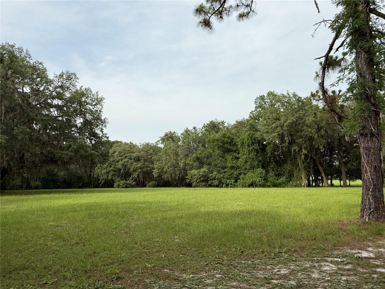 1360 S STATE ROAD 19, PALATKA, FL — photo 31