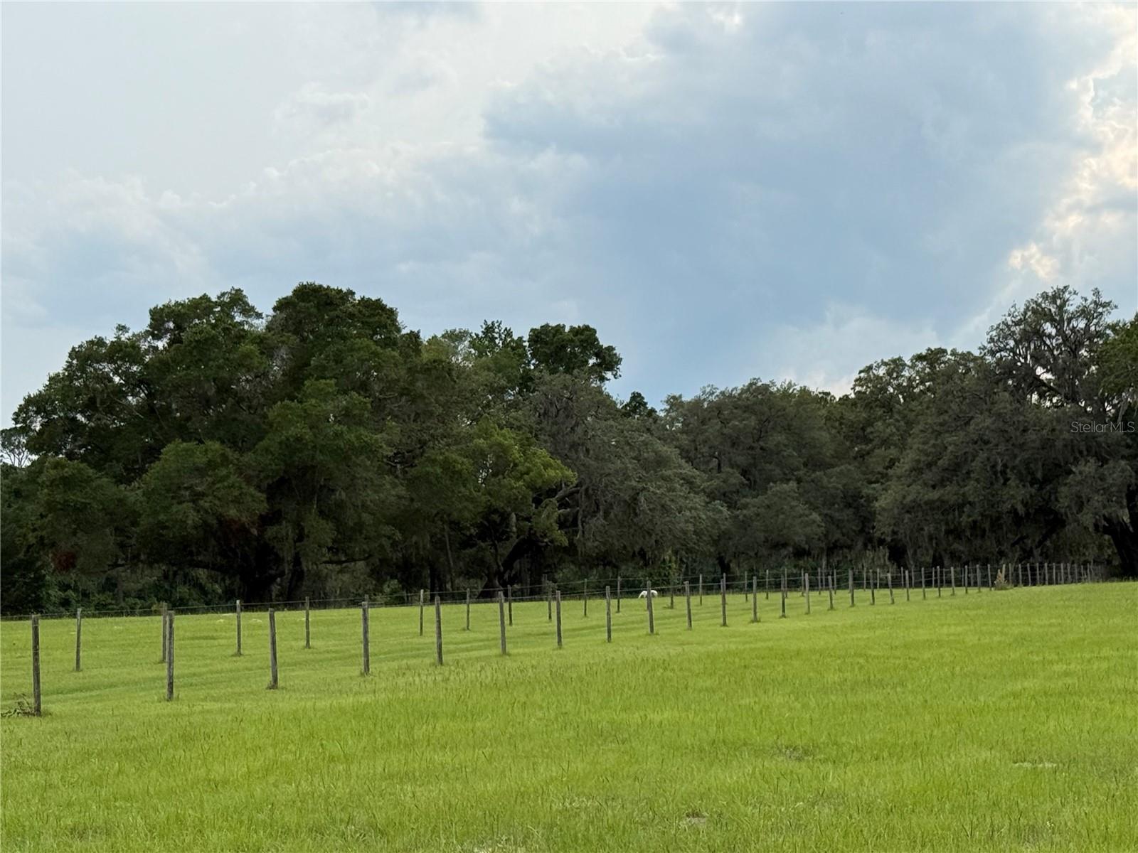 1360 S STATE ROAD 19, PALATKA, FL — photo 32