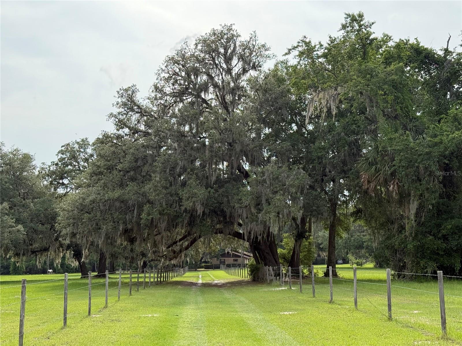 1360 S STATE ROAD 19, PALATKA, FL — photo 33