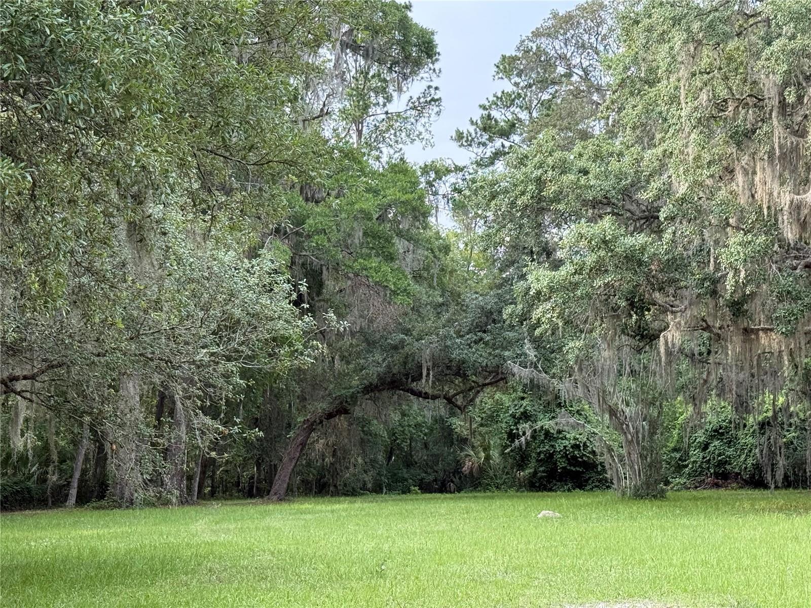 1360 S STATE ROAD 19, PALATKA, FL — photo 34