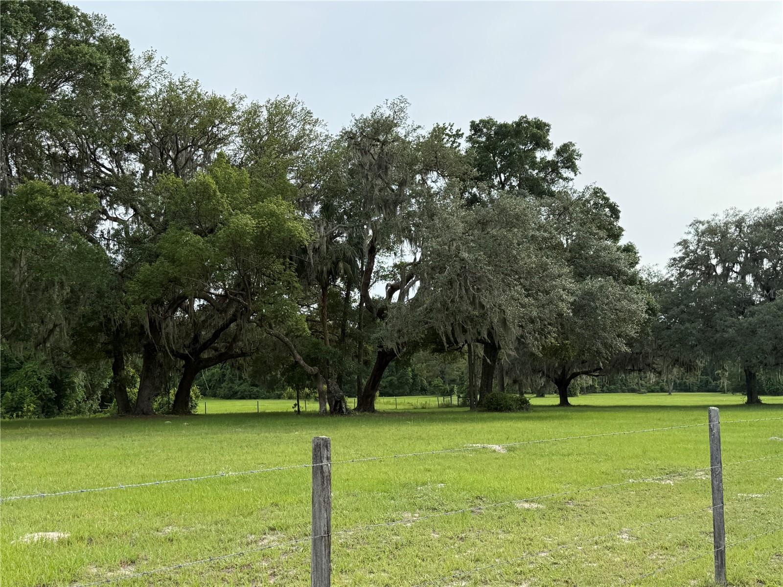 1360 S STATE ROAD 19, PALATKA, FL — photo 35