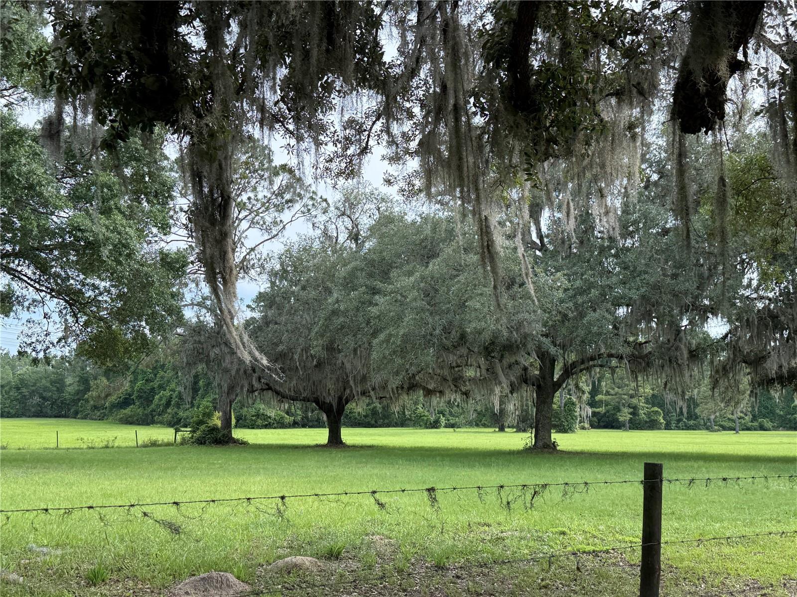 1360 S STATE ROAD 19, PALATKA, FL — photo 37