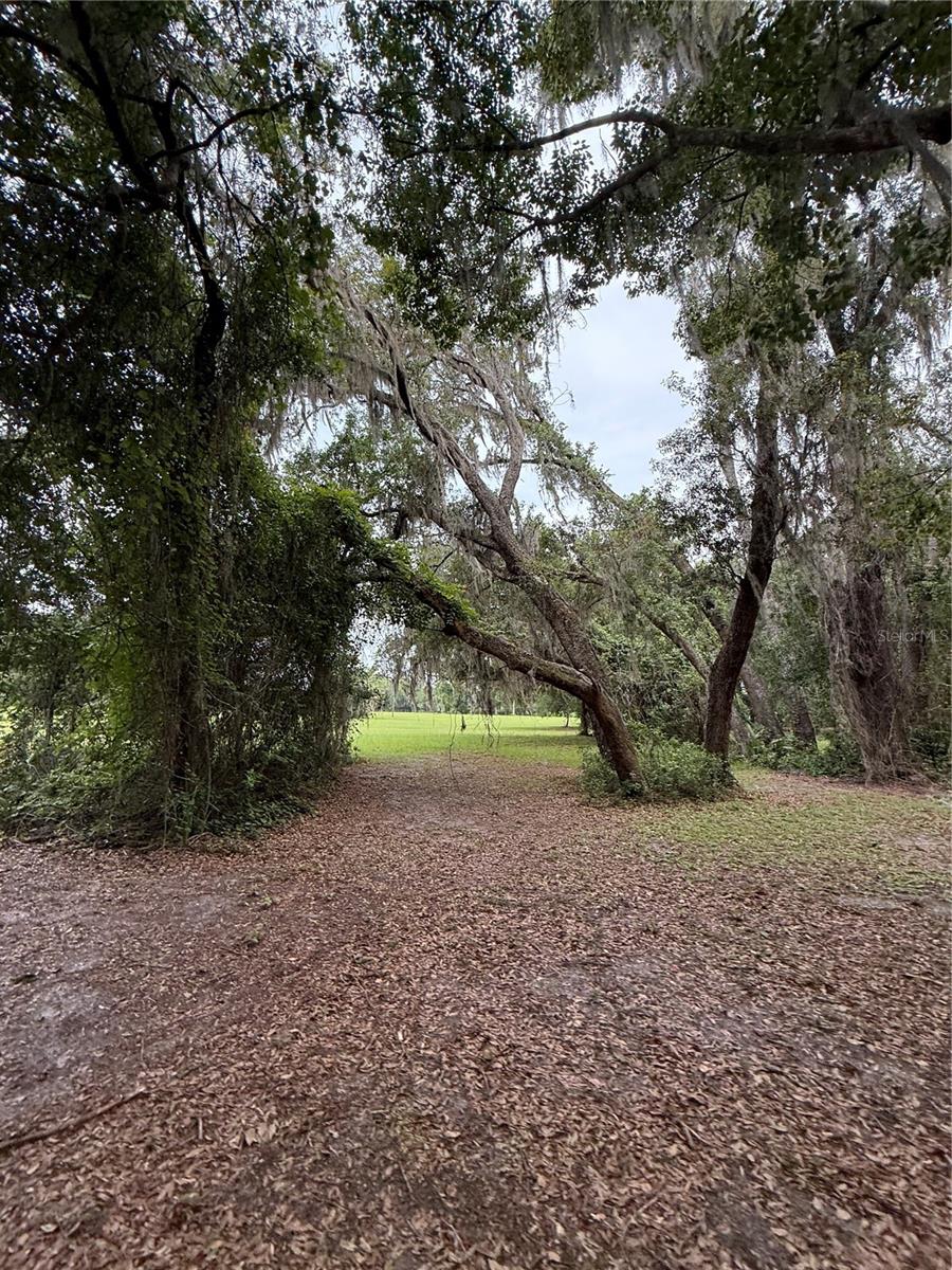 1360 S STATE ROAD 19, PALATKA, FL — photo 38
