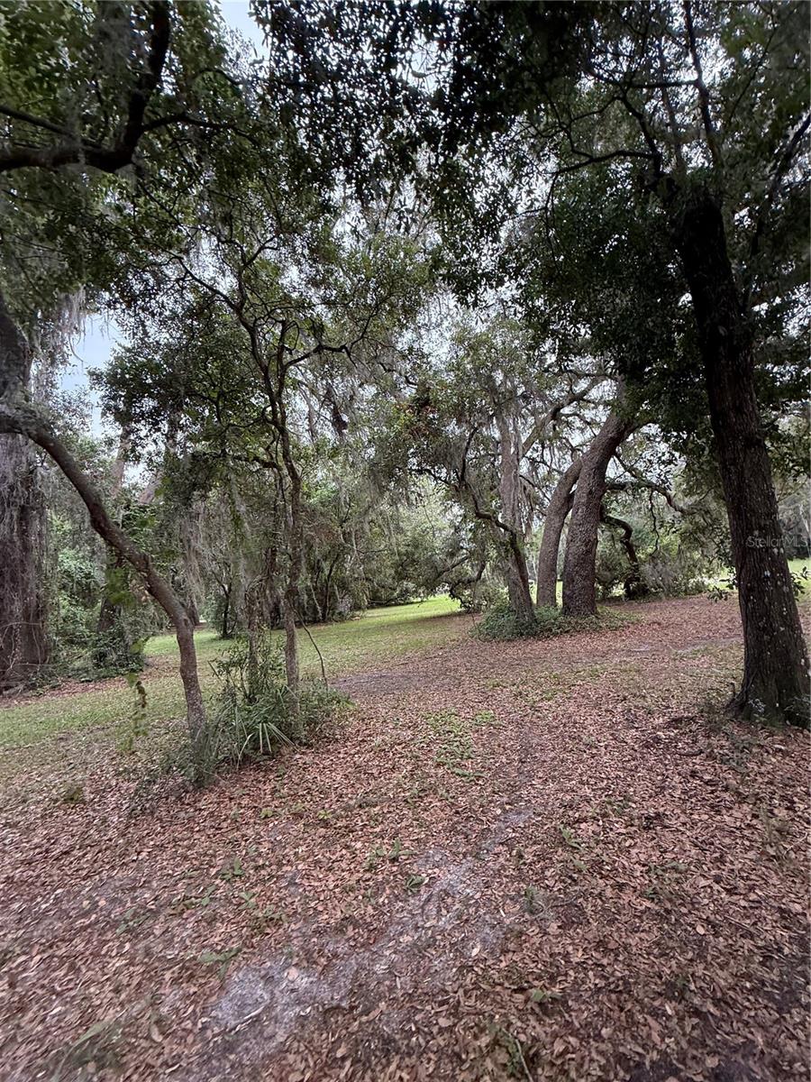 1360 S STATE ROAD 19, PALATKA, FL — photo 39