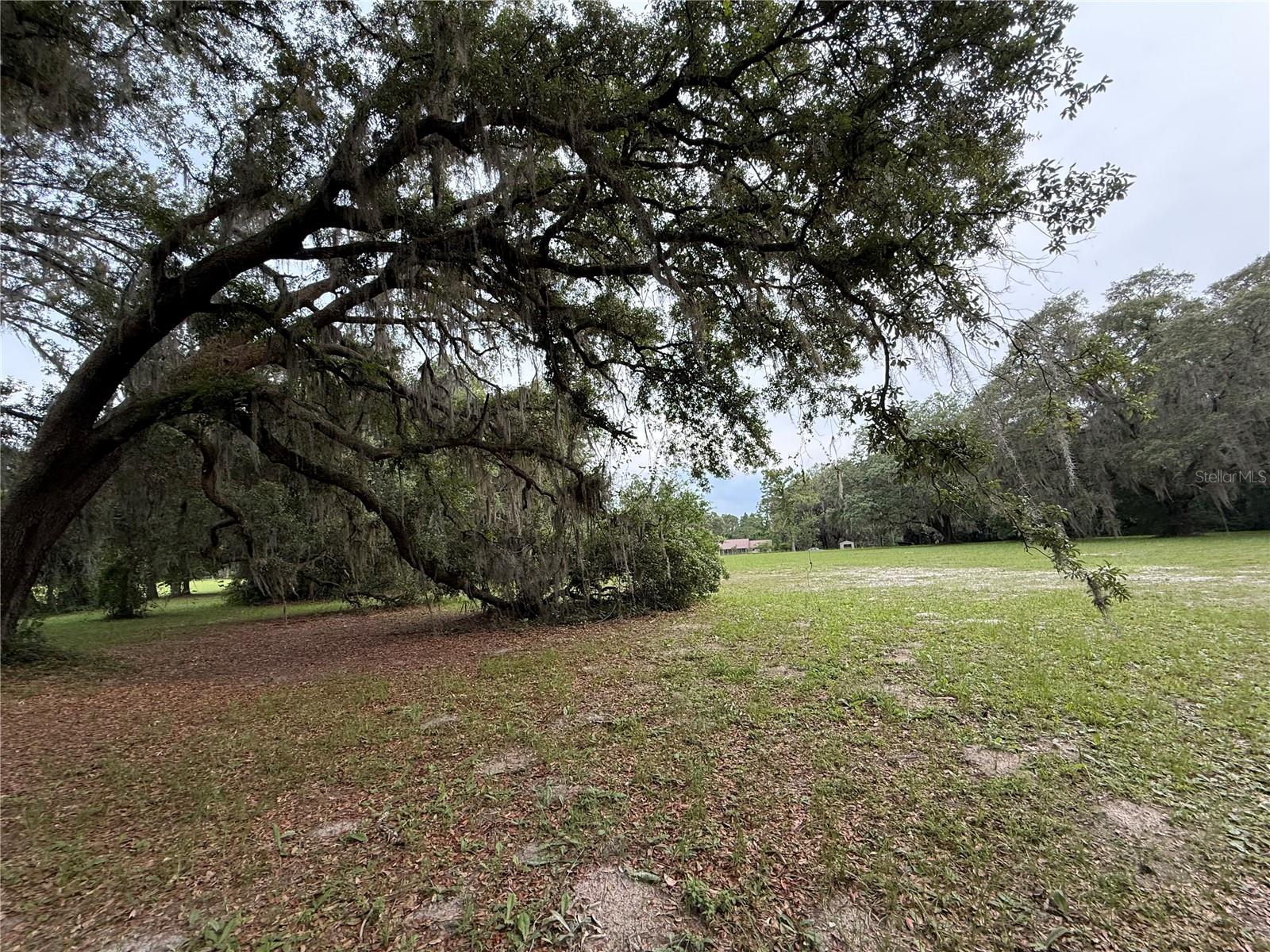 1360 S STATE ROAD 19, PALATKA, FL — photo 40