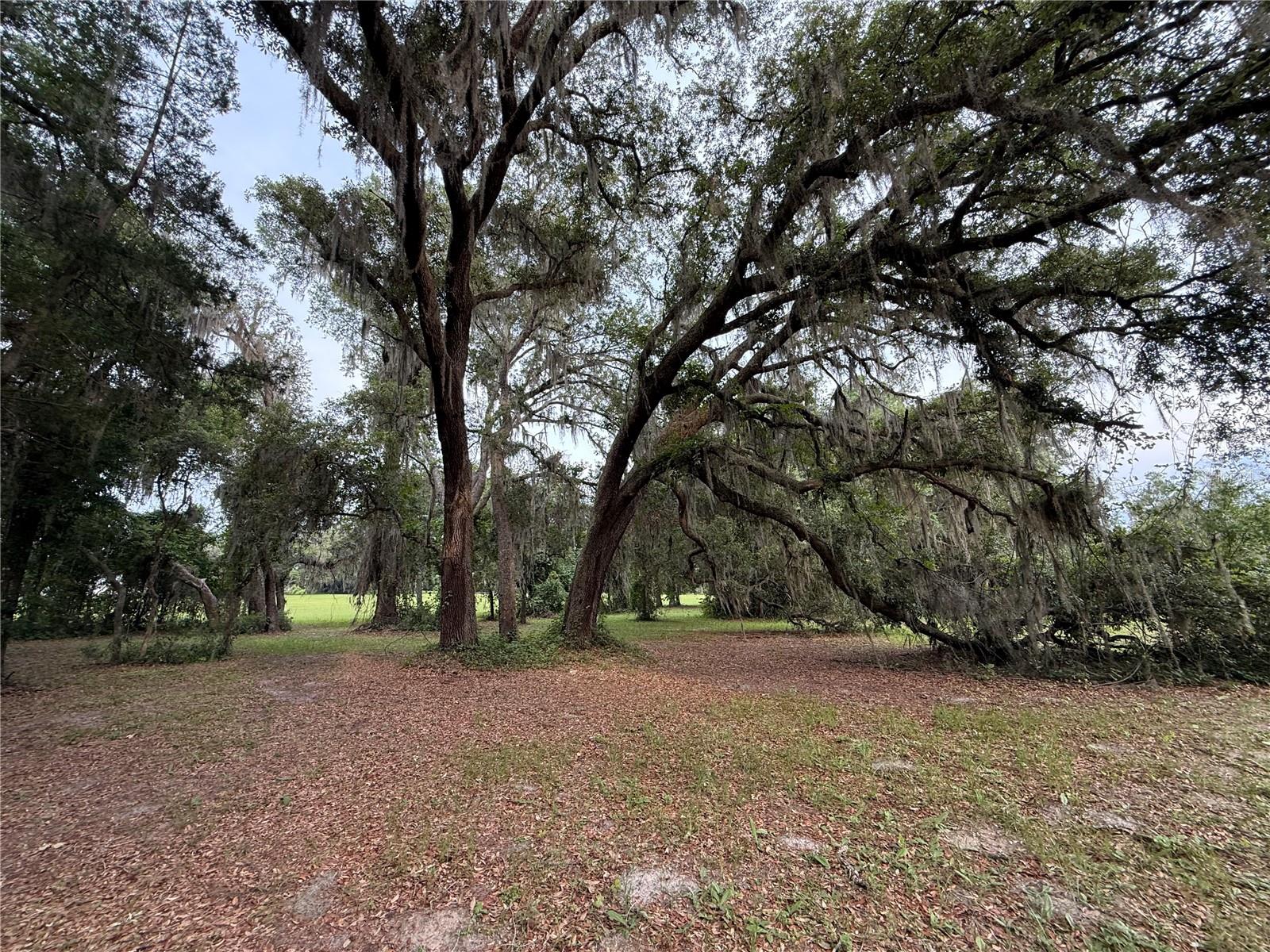 1360 S STATE ROAD 19, PALATKA, FL — photo 41