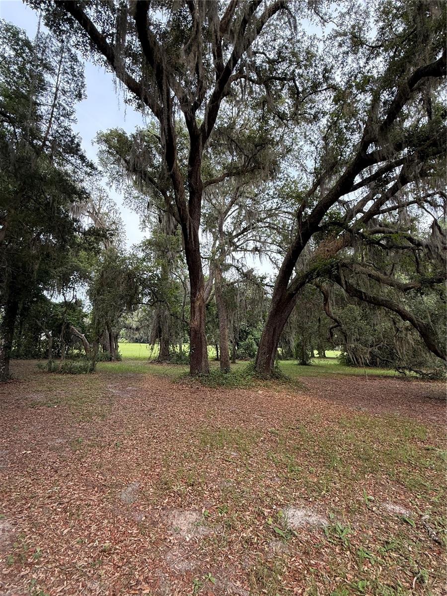1360 S STATE ROAD 19, PALATKA, FL — photo 42