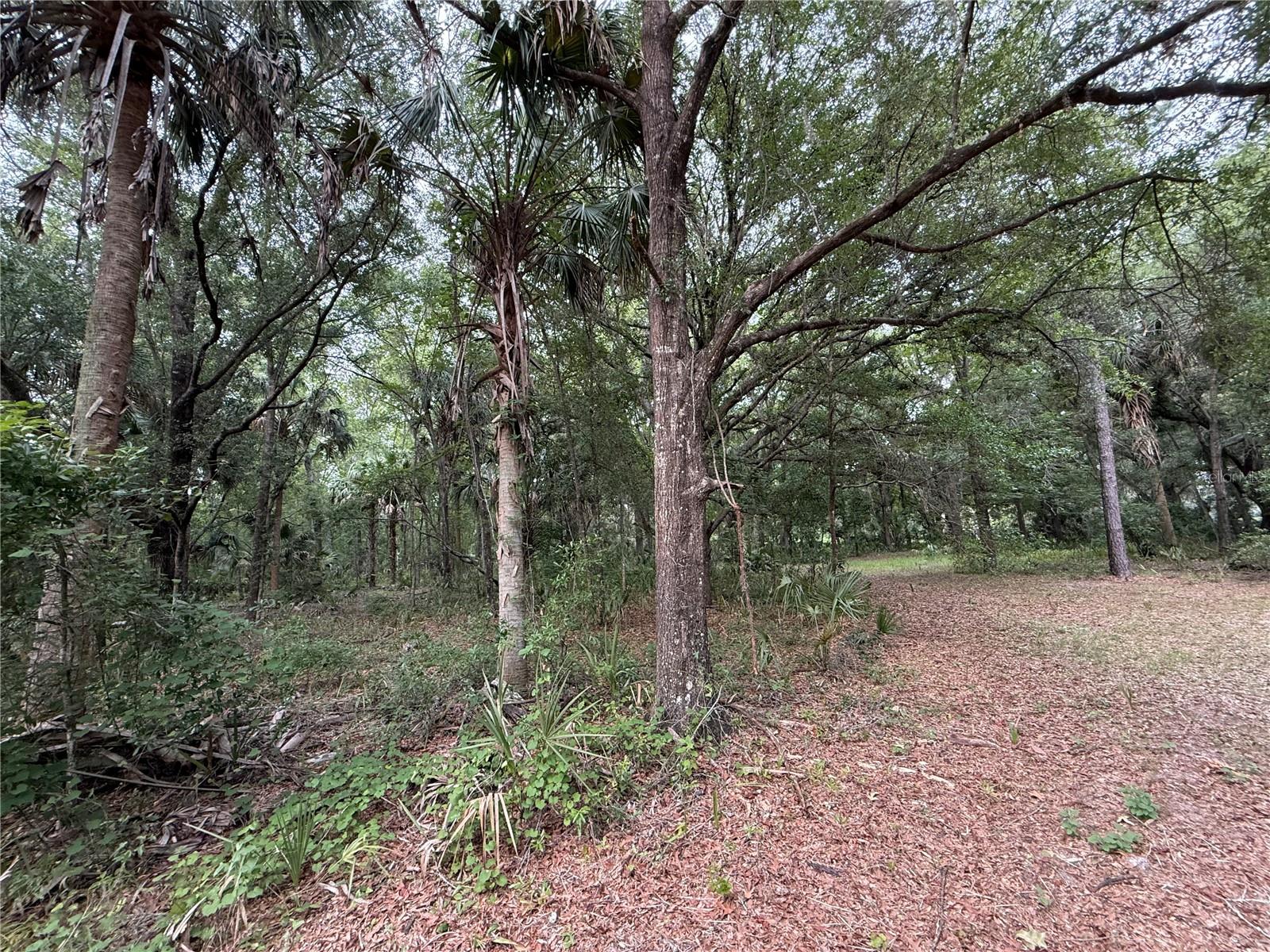 1360 S STATE ROAD 19, PALATKA, FL — photo 47