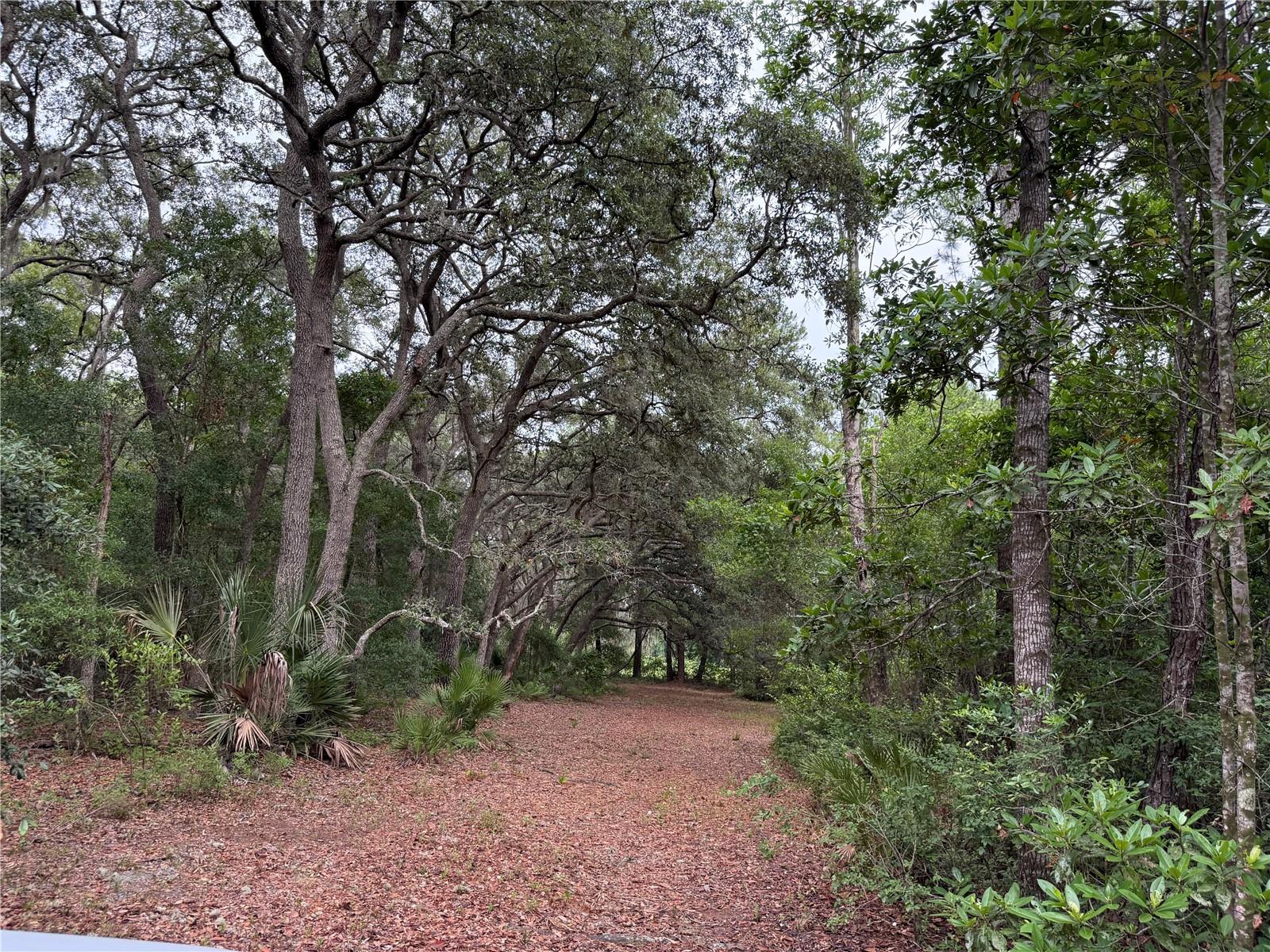 1360 S STATE ROAD 19, PALATKA, FL — photo 48