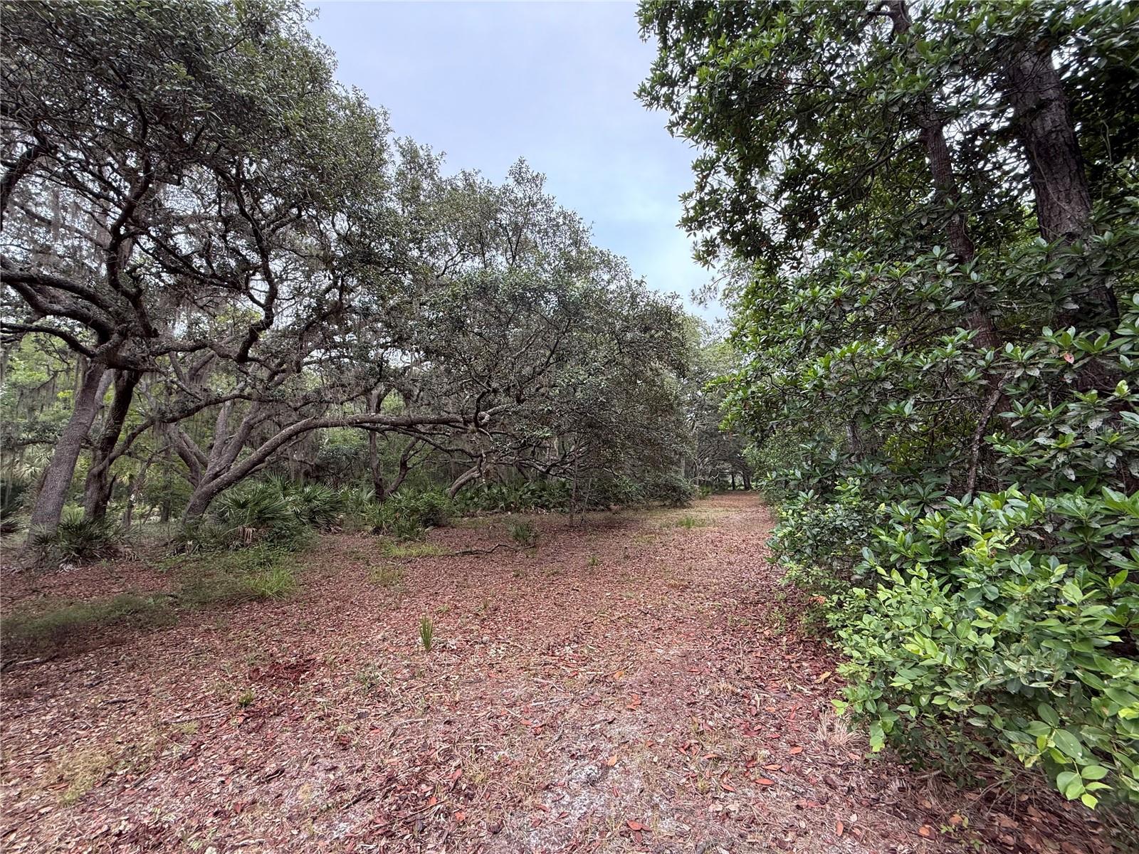 1360 S STATE ROAD 19, PALATKA, FL — photo 49