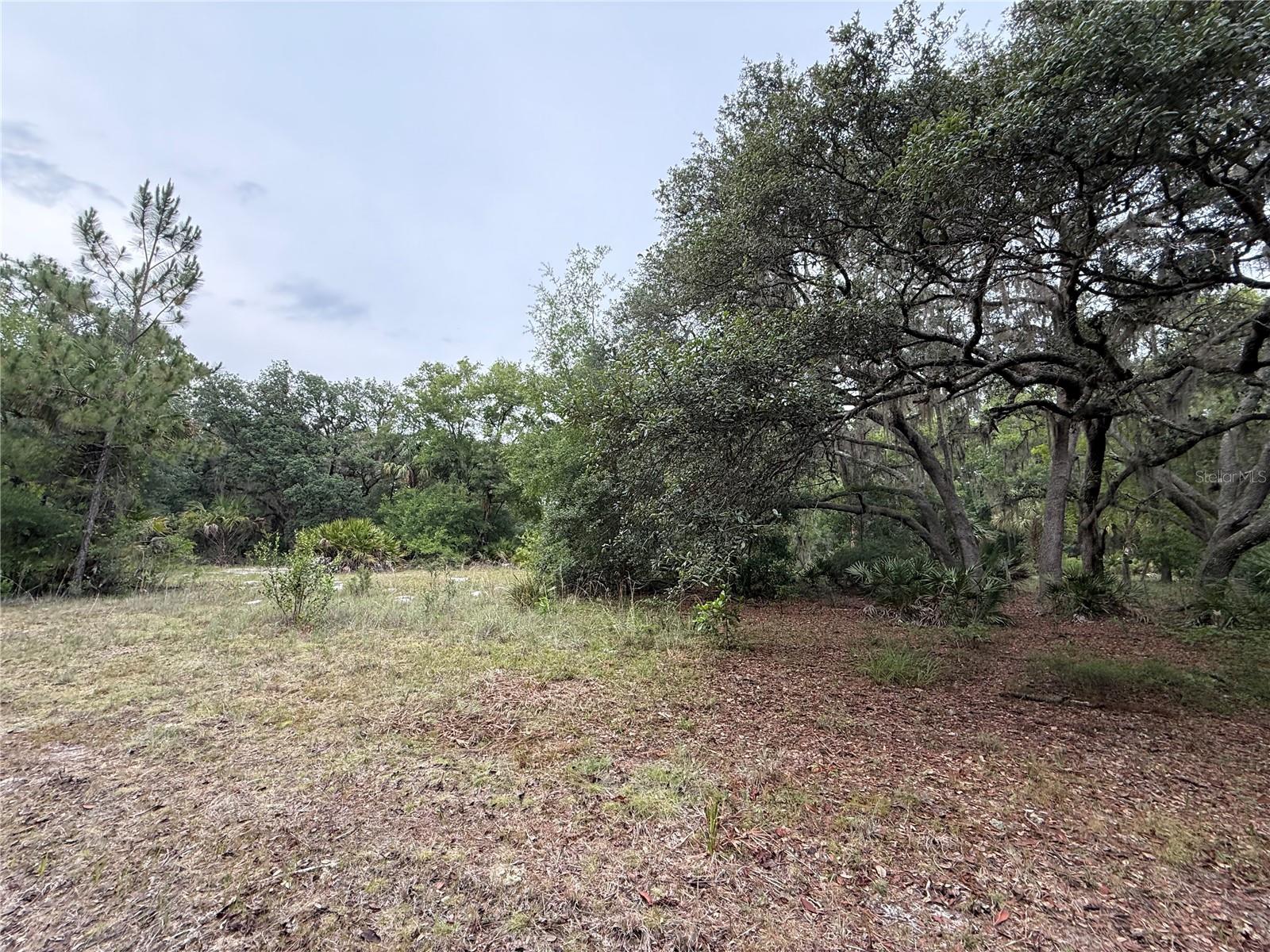 1360 S STATE ROAD 19, PALATKA, FL — photo 50