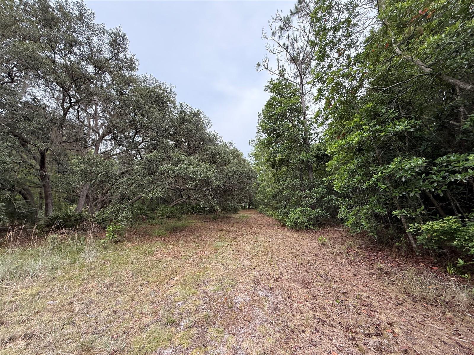 1360 S STATE ROAD 19, PALATKA, FL — photo 52