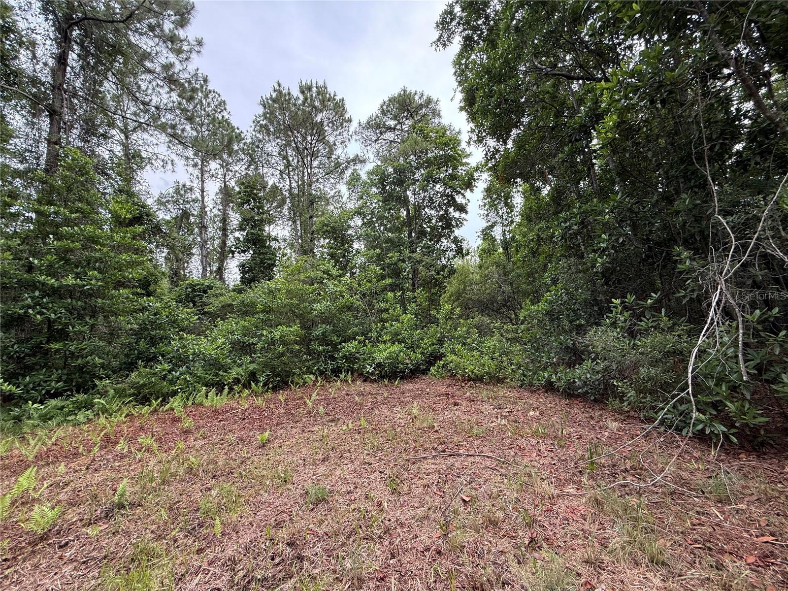 1360 S STATE ROAD 19, PALATKA, FL — photo 55