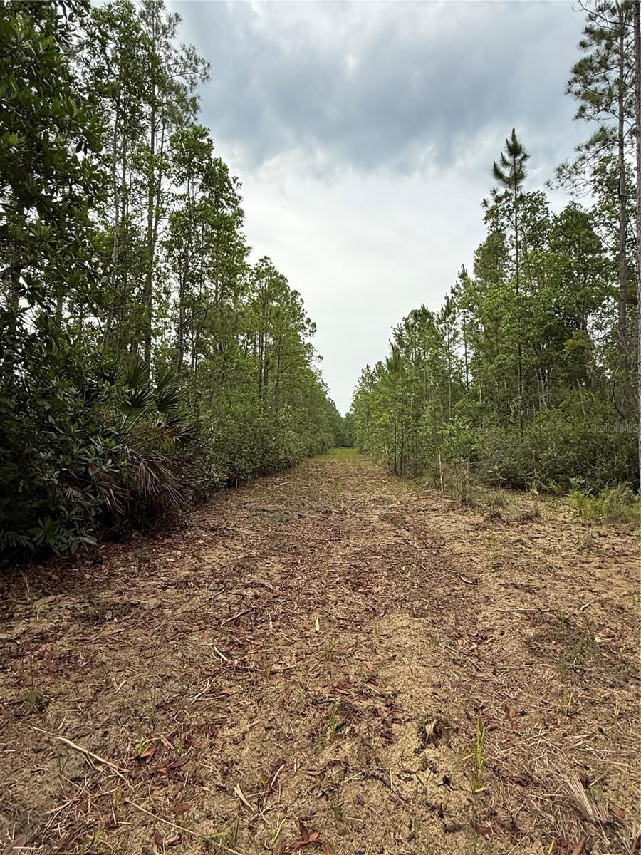 1360 S STATE ROAD 19, PALATKA, FL — photo 56