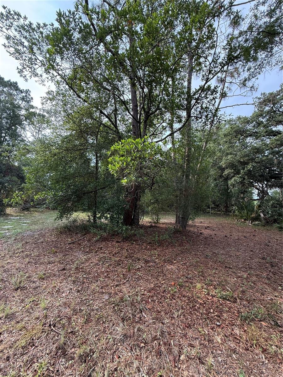 1360 S STATE ROAD 19, PALATKA, FL — photo 58