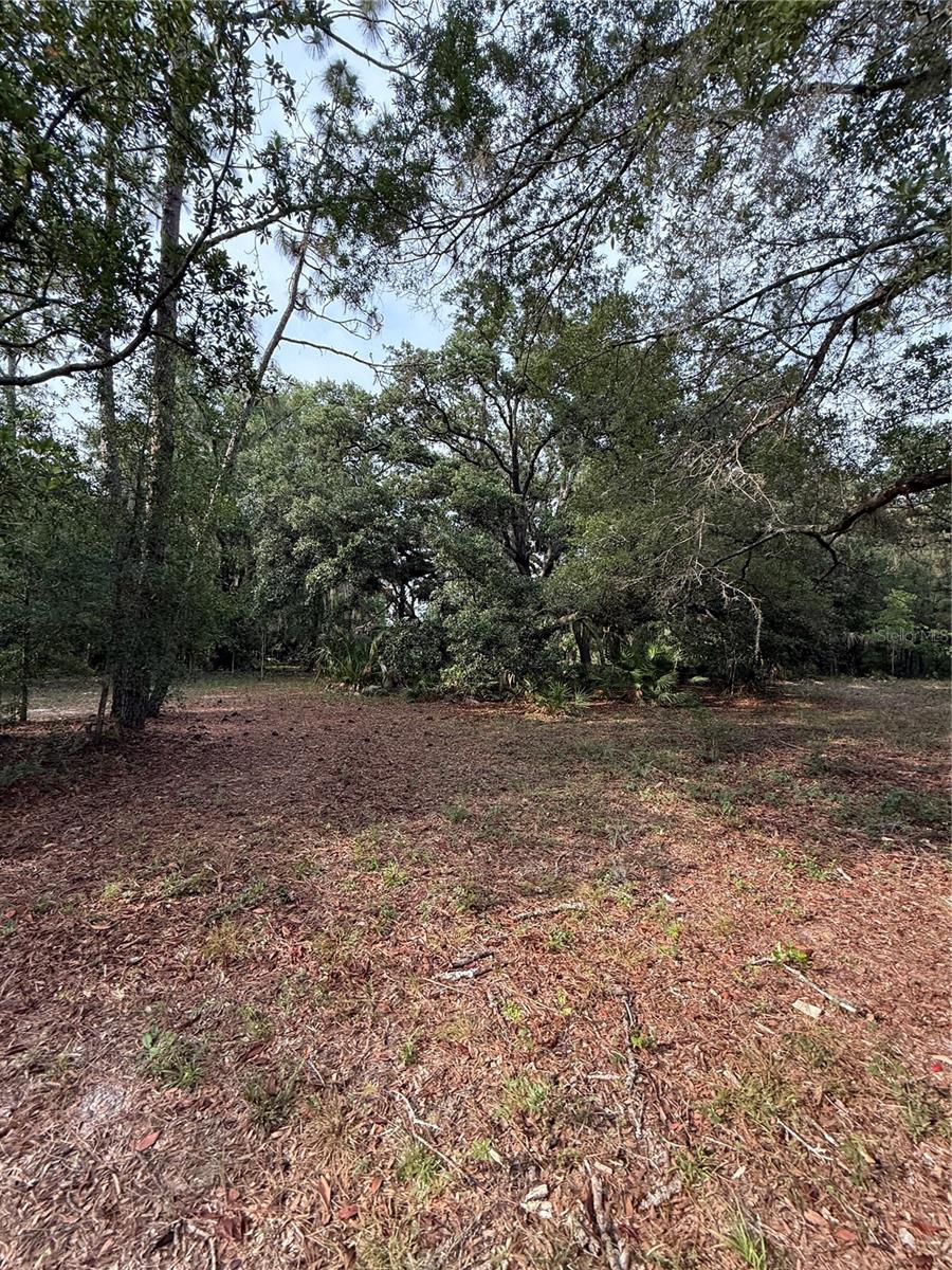 1360 S STATE ROAD 19, PALATKA, FL — photo 59
