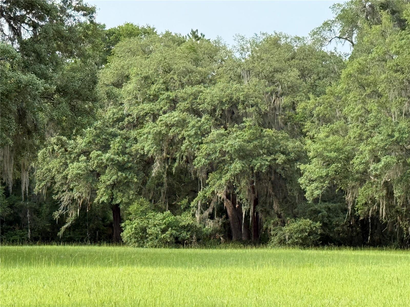 1360 S STATE ROAD 19, PALATKA, FL — photo 62
