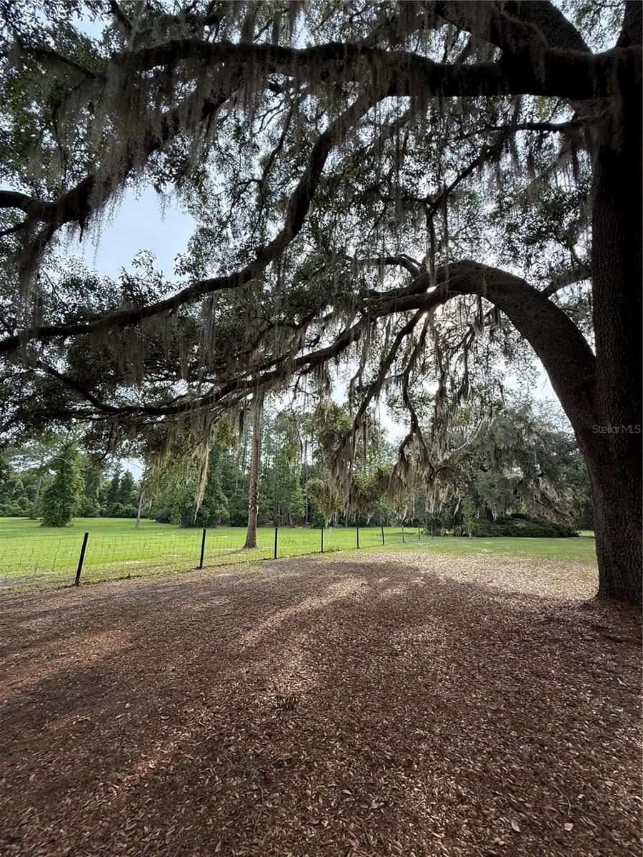 1360 S STATE ROAD 19, PALATKA, FL — photo 63
