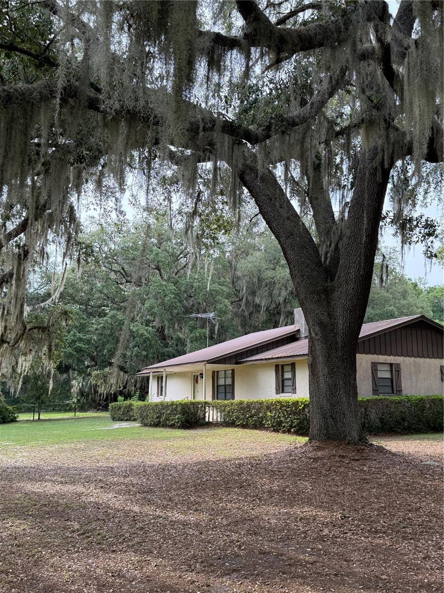 1360 S STATE ROAD 19, PALATKA, FL — photo 64