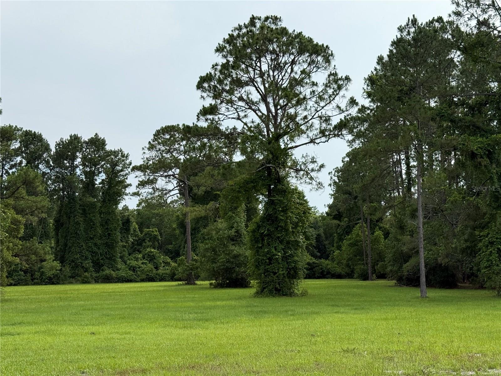 1360 S STATE ROAD 19, PALATKA, FL — photo 65