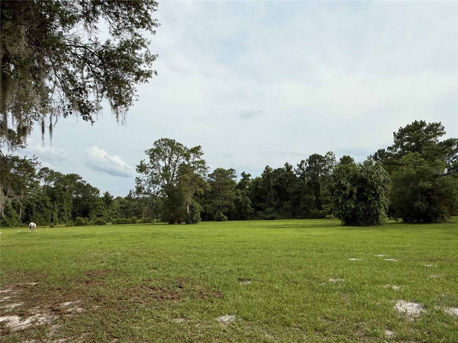 1360 S STATE ROAD 19, PALATKA, FL — photo 66