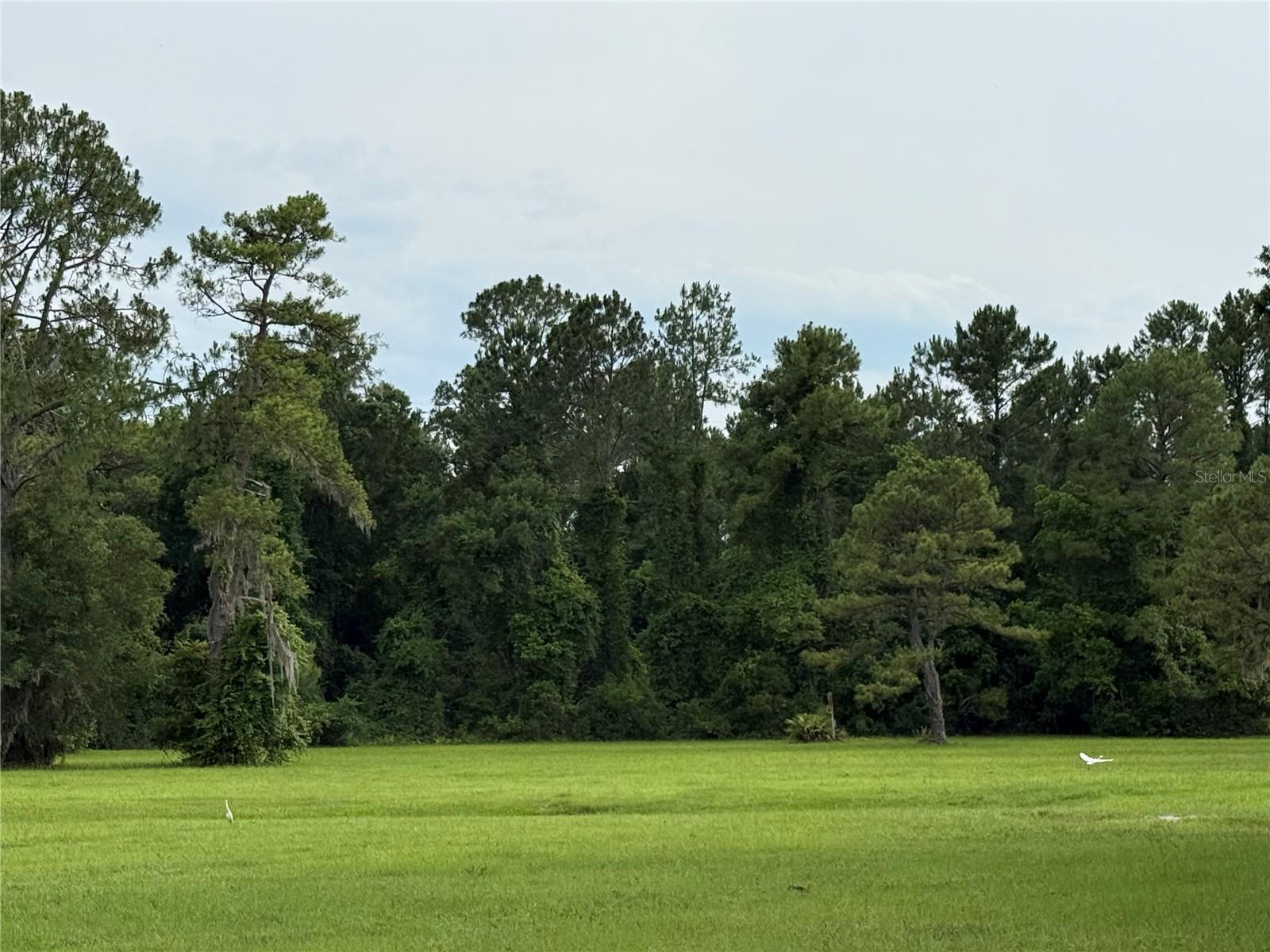 1360 S STATE ROAD 19, PALATKA, FL — photo 67