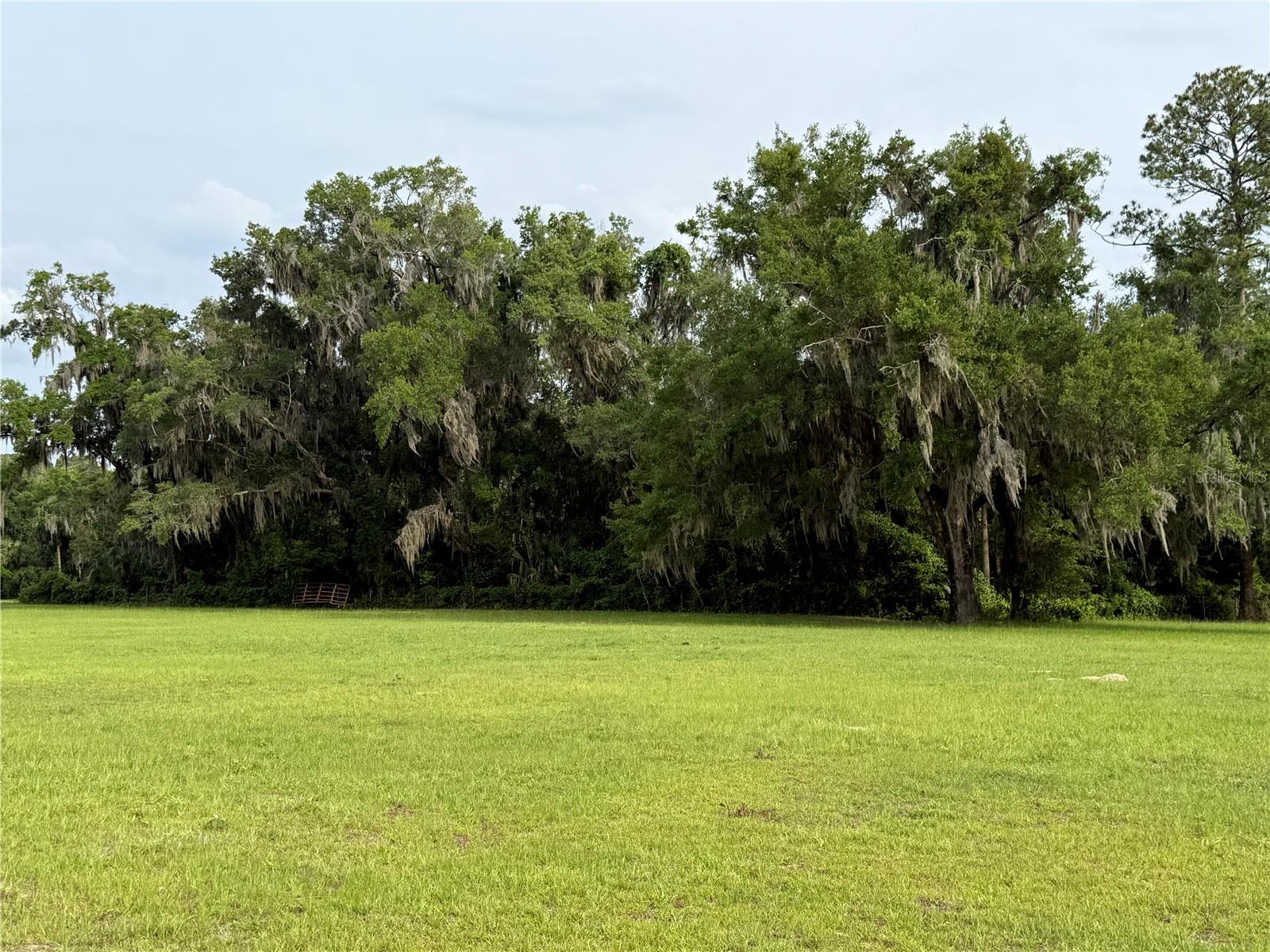 1360 S STATE ROAD 19, PALATKA, FL — photo 69