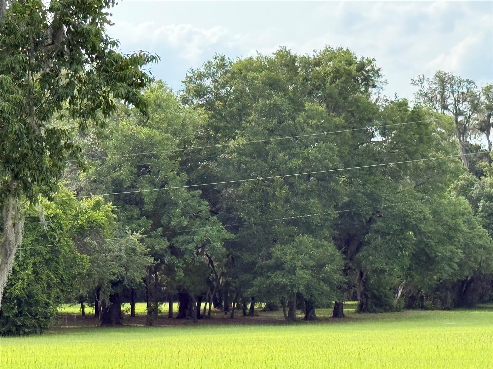 1360 S STATE ROAD 19, PALATKA, FL — photo 70