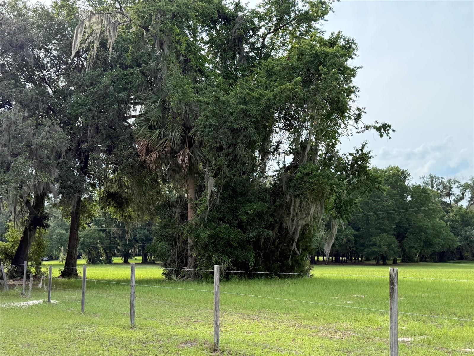 1360 S STATE ROAD 19, PALATKA, FL — photo 71