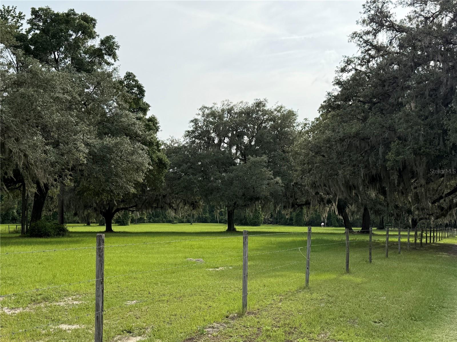 1360 S STATE ROAD 19, PALATKA, FL — photo 72