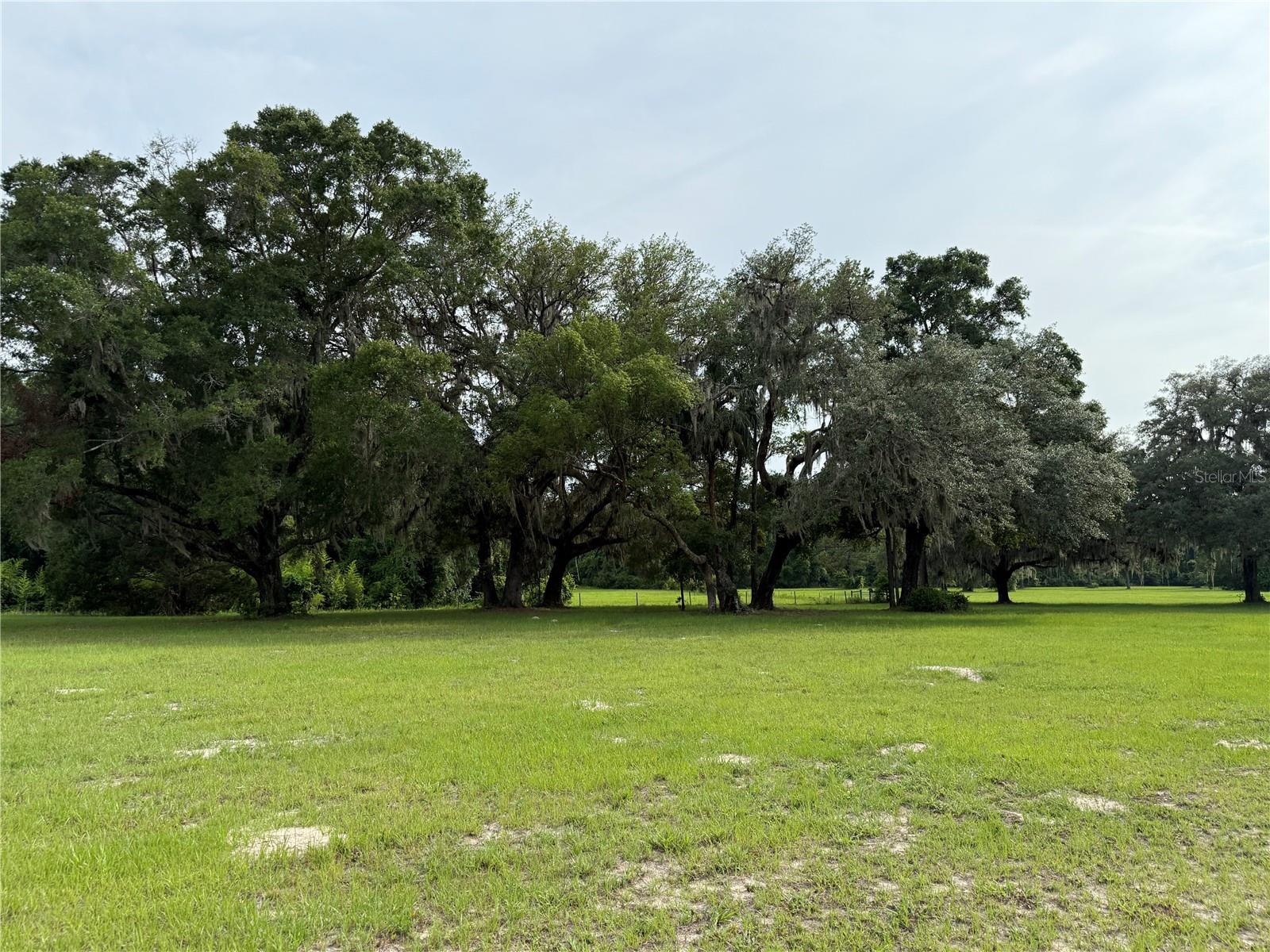 1360 S STATE ROAD 19, PALATKA, FL — photo 73