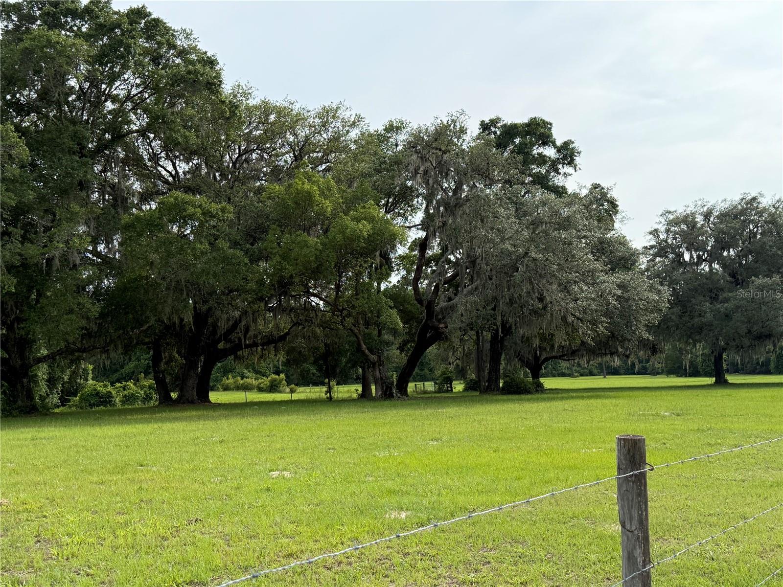 1360 S STATE ROAD 19, PALATKA, FL — photo 75