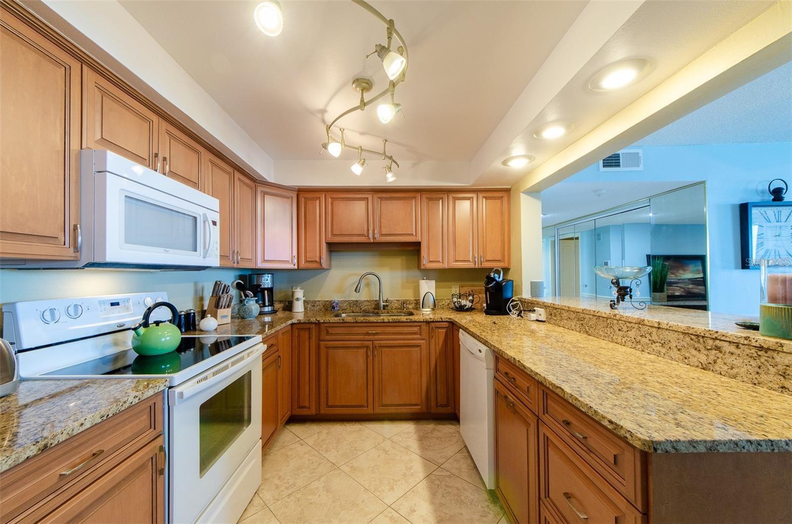 1460 GULF BLVD #1105, CLEARWATER BEACH, FL — photo 10