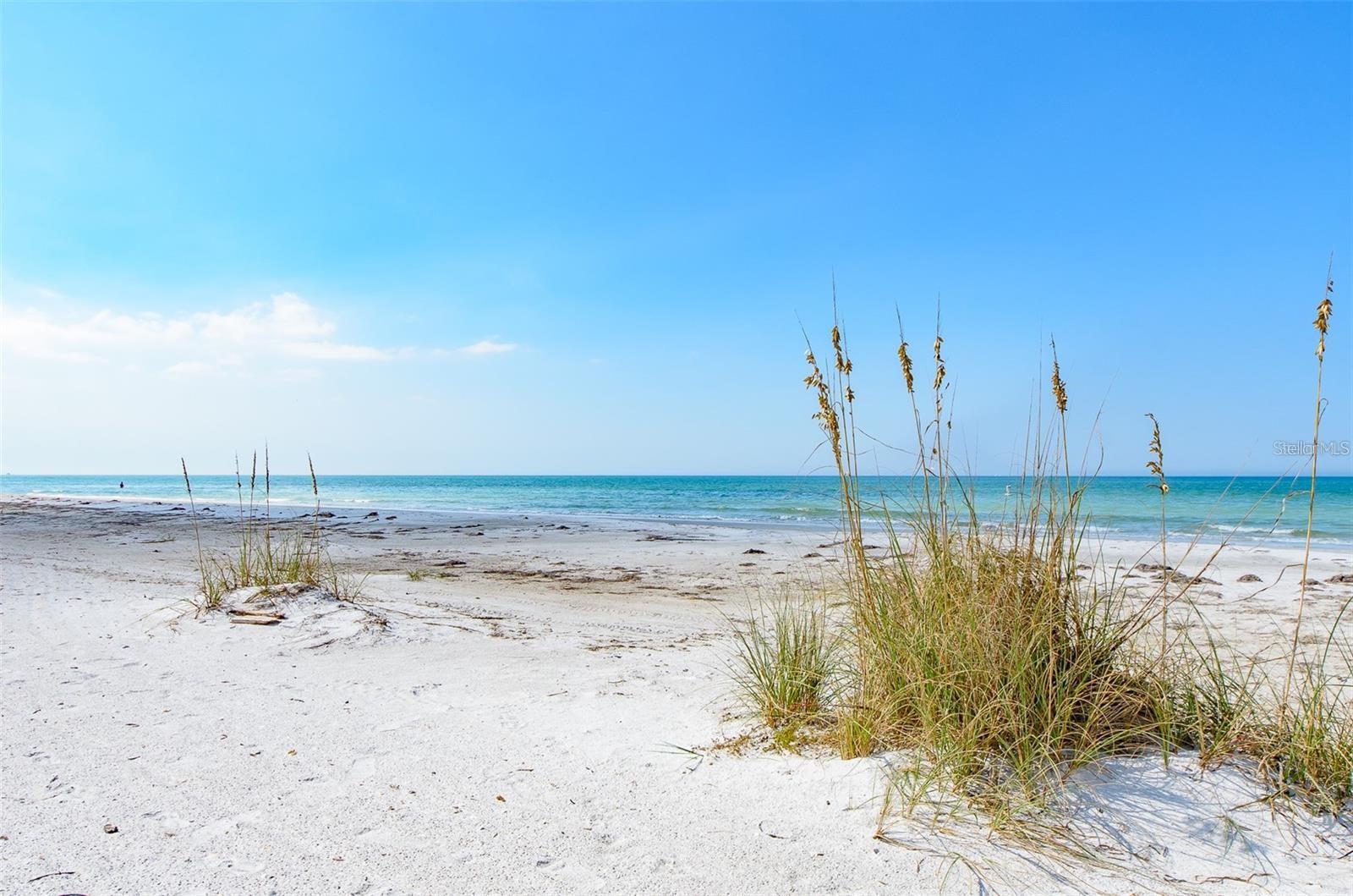 1460 GULF BLVD #1105, CLEARWATER BEACH, FL — photo 33