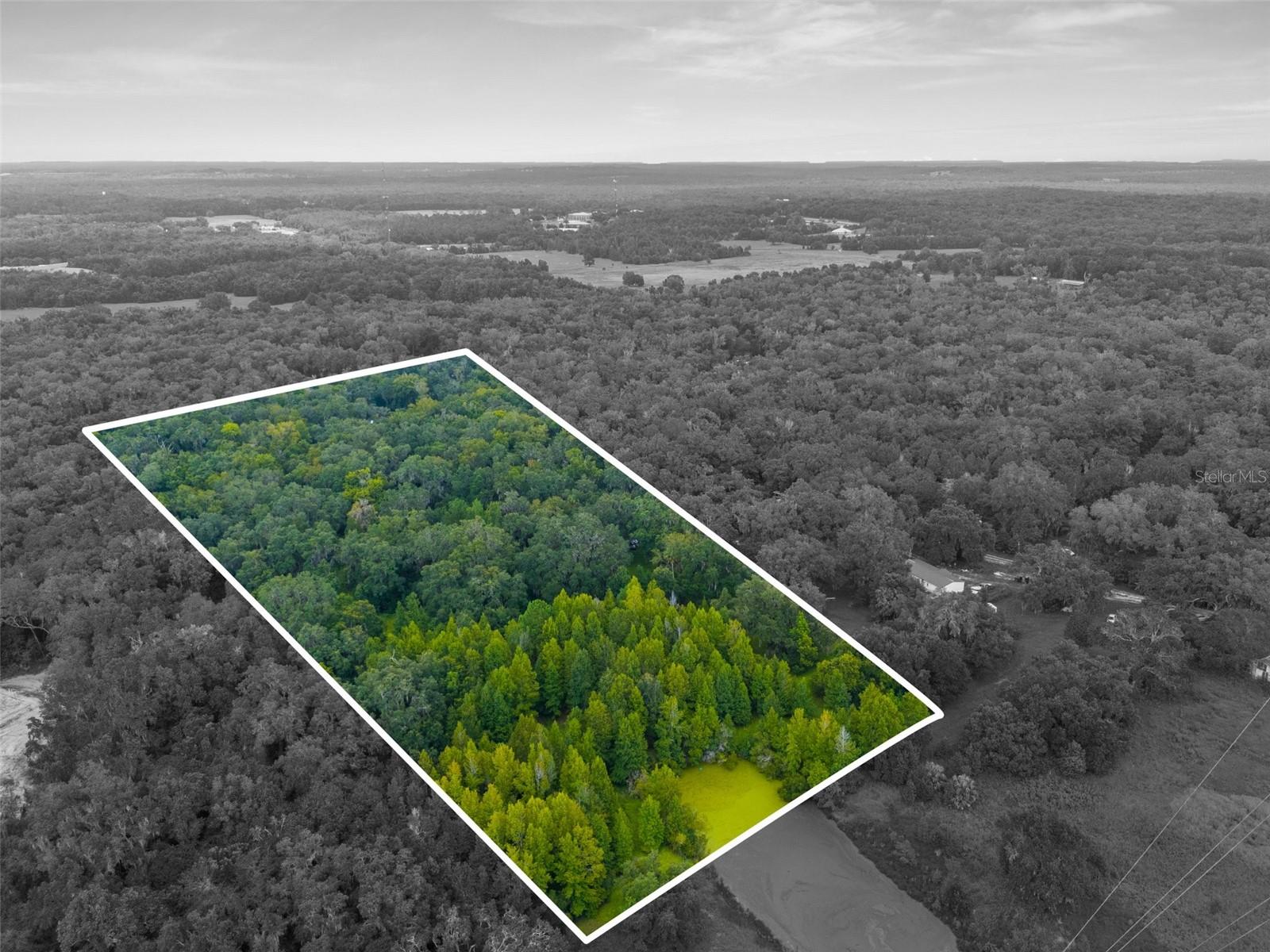 RAIN FOREST RD, BROOKSVILLE, FL — photo 2